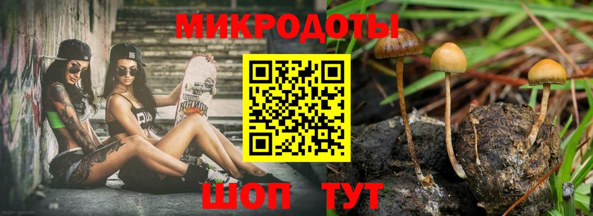 Галлюциногенные грибы прущие грибы Тельмана